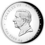 2025 Australian Lunar Series Year of the Snake 1oz Silver Proof HR Coin