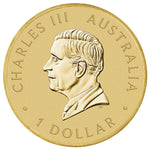2025 Australian Citizenship $1 Coin in Card