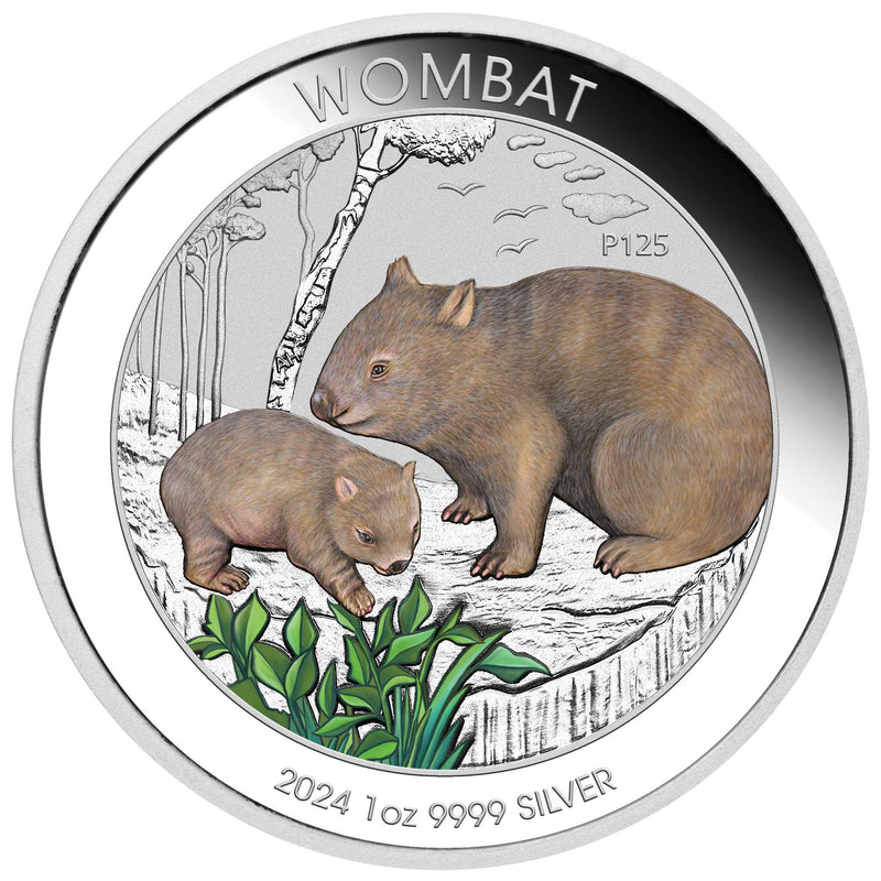 2024 Australian Wombat 1oz Silver Coloured Coin in Card