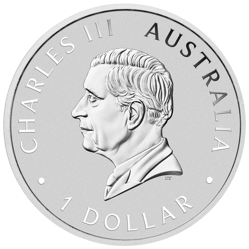 2024 Australian Wombat 1oz Silver Coloured Coin in Card