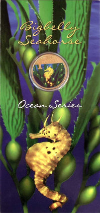 2007 $1 Australian Coloured Ocean Series Uncirculated Coin - Bigbelly Seahorse