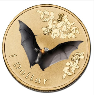 2011 $1 Australian Coloured Air Series Uncirculated Coin - Grey-headed Flying-fox