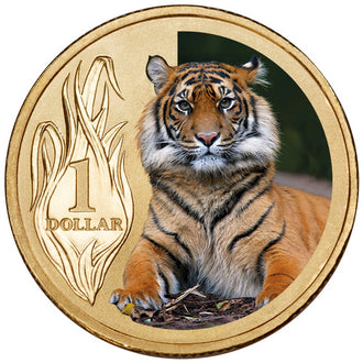 2012 $1 Australian Coloured Zoo Animal Series Uncirculated Coin - Sumatran Tiger