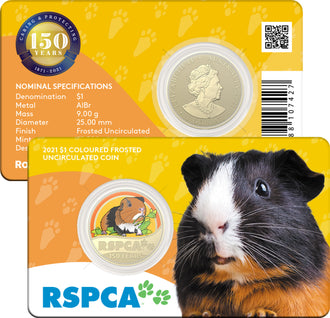 2021 $1 Australian RSPCA Coloured Uncirculated Coin - Guinea Pig