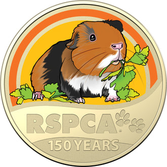 2021 $1 Australian RSPCA Coloured Uncirculated Coin - Guinea Pig