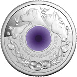 2024 $2 ‘C’ Mintmark Coloured Silver Proof Coin War Animals Remembrance