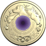 2024 $2 ‘C’ Mintmark Coloured Uncirculated Coin War Animals Remembrance