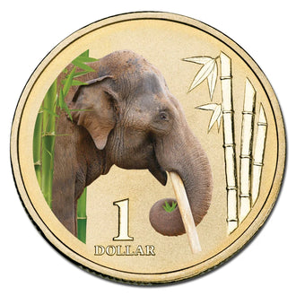 2012 $1 Australian Coloured Zoo Animal Series Uncirculated Coin - Asian Elephant