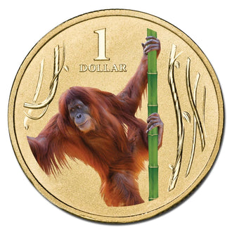 2012 $1 Australian Coloured Zoo Animal Series Uncirculated Coin - Orang-Utan