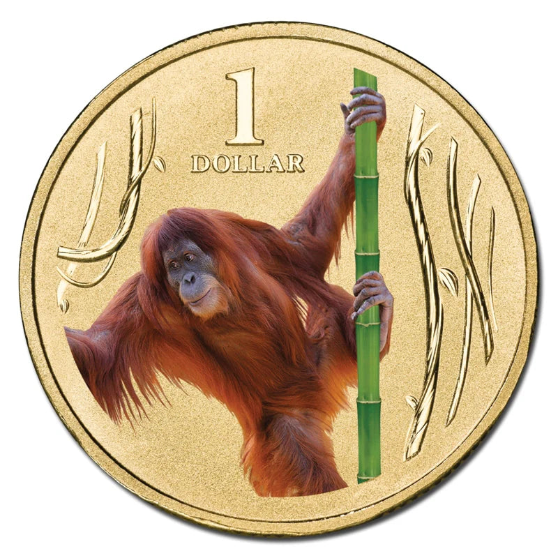 2012 $1 Australian Coloured Zoo Animal Series Uncirculated Coin - Orang-Utan
