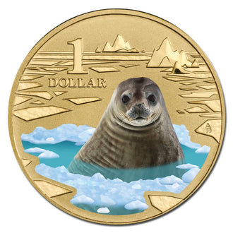 2013 $1 Australian Coloured Polar Animal Series Uncirculated Coin - Weddell Seal