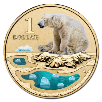 2013 $1 Australian Coloured Polar Animal Series Uncirculated Coin - Polar Bear