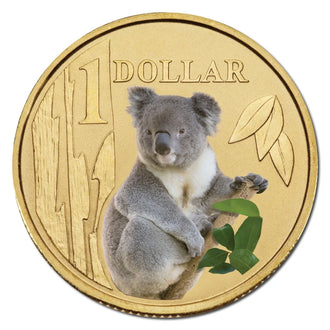 2008 $1 Australian Coloured Land Series Uncirculated Coin - Koala