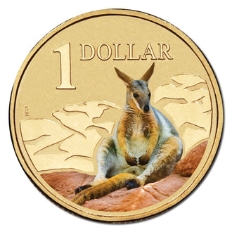 2008 $1 Australian Coloured Land Series Uncirculated Coin - Rock Wallaby