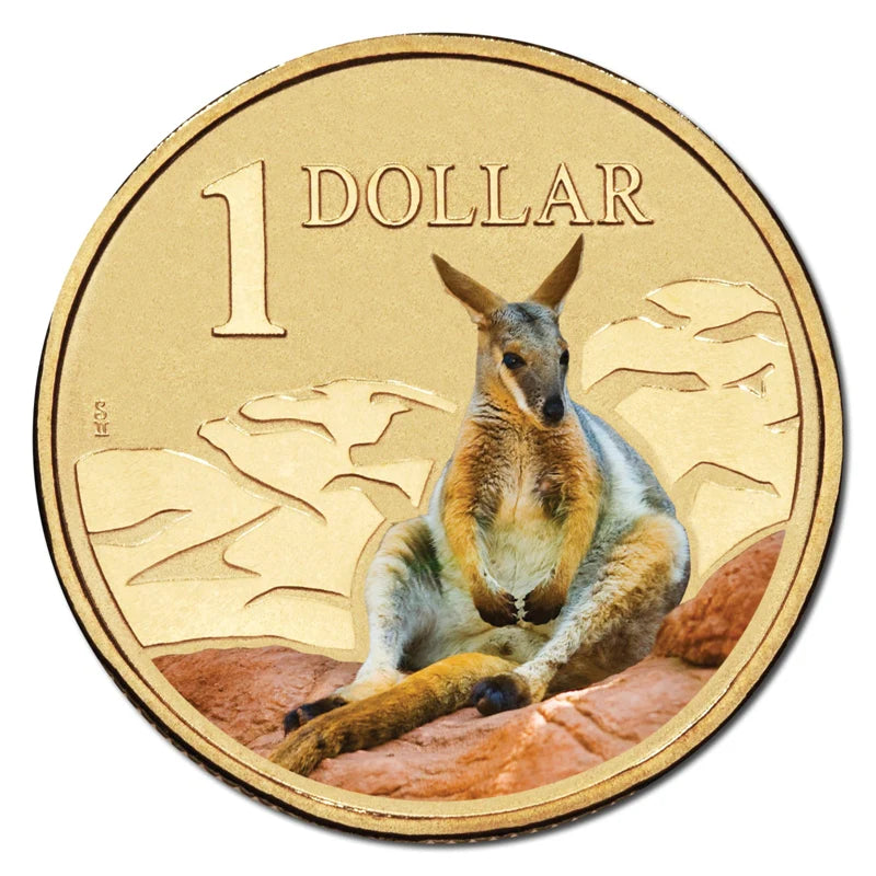 2008 $1 Australian Coloured Land Series Uncirculated Coin - Rock Wallaby
