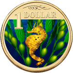 2007 $1 Australian Coloured Ocean Series Uncirculated Coin - Bigbelly Seahorse