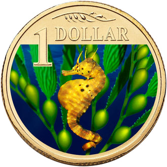 2007 $1 Australian Coloured Ocean Series Uncirculated Coin - Bigbelly Seahorse