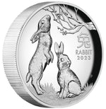2023 Year of the Rabbit 1oz silver high relief coin
