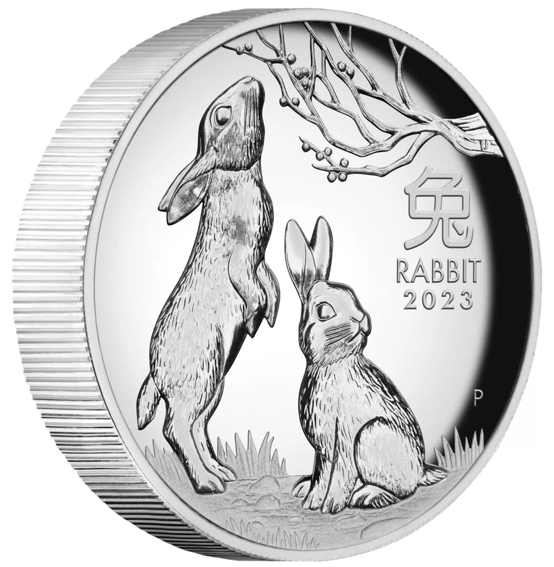 2023 Year of the Rabbit 1oz silver high relief coin