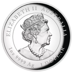 2023 Year of the Rabbit 1oz silver high relief coin