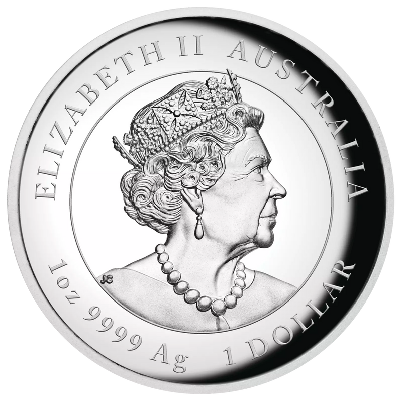 2023 Year of the Rabbit 1oz silver high relief coin