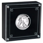 2023 Year of the Rabbit 1oz silver high relief coin