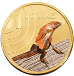 2009 $1 Australian Coloured Land Series Uncirculated Coin - Frilled Neck Lizard