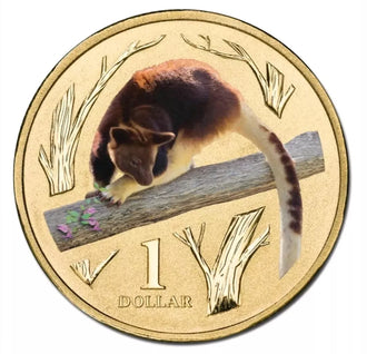 2012 $1 Australian Coloured Zoo Animal Series Uncirculated Coin - Goodfellow's Tree-Kangaroo