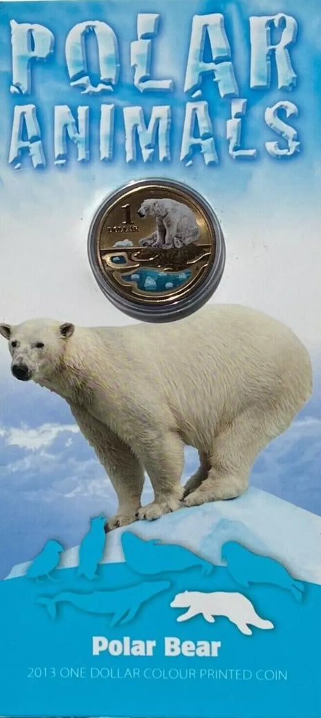 2013 $1 Australian Coloured Polar Animal Series Uncirculated Coin - Polar Bear