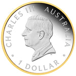 2026 40th Anniversary of the Australian Nugget Gold Coin 1oz Silver Proof Gilded Coin