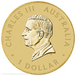 2026 Australian Citizenship Coin in Card