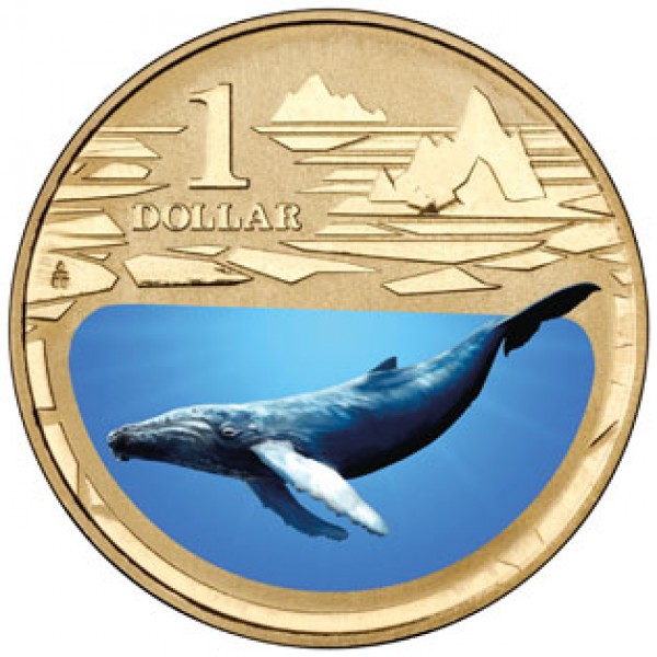 2013 $1 POLAR ANIMALS WALRUS Pad Printed Coin