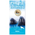 2013 $1 Uncirculated Coloured Coin Polar Animals - Walrus  